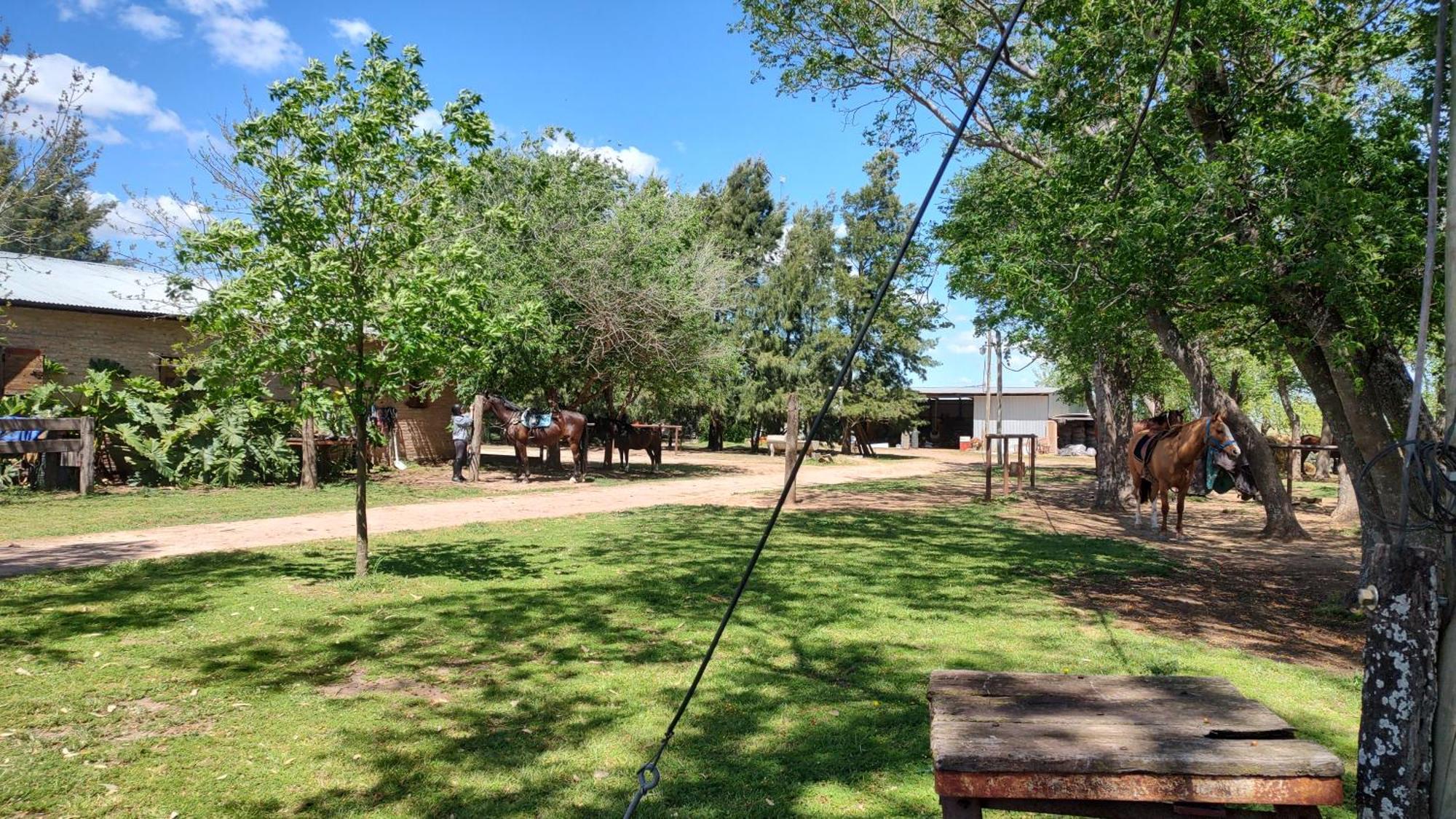 Cabana Rural El Encuentro San Antonio de Areco Cameră foto